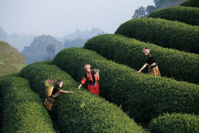 Photography Tours